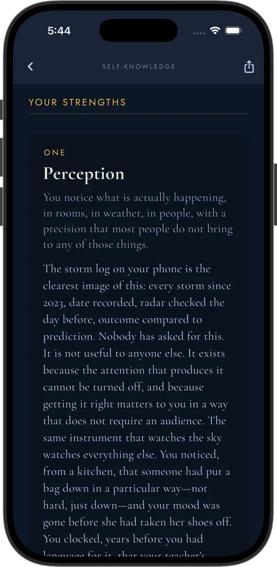 A Strengths Portrait report naming Perception as the first strength.